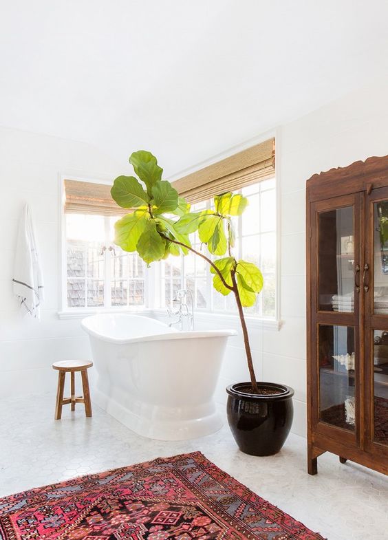 Find the right kind of plant to add to a bathroom | Girlfriend is Better