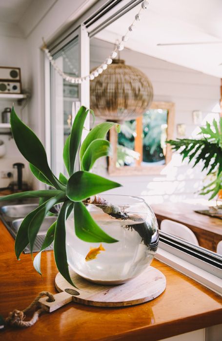 Health + Well-Being Feng Shui | water + plant decor idea | Girlfriend is Better