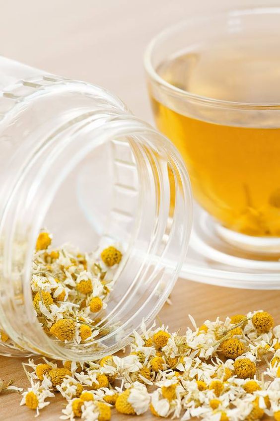 Chamomile herbal tea health benefits | Girlfriend is Better