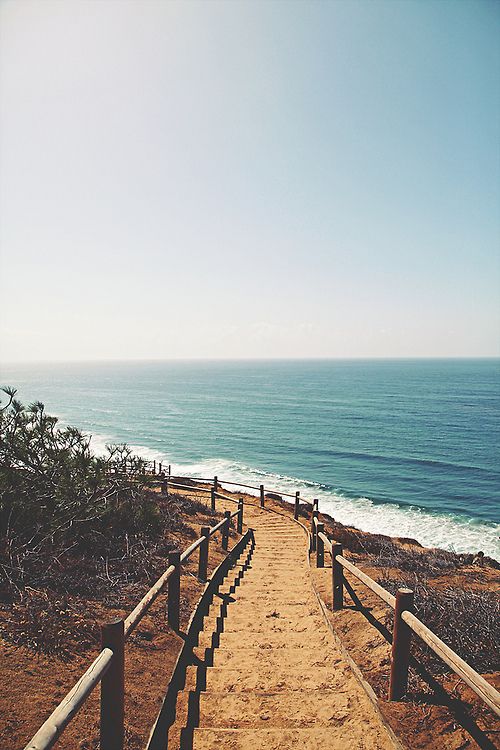 La Jolla beach hike | Torrey Pines Natural Reserve | Girlfriend is Better