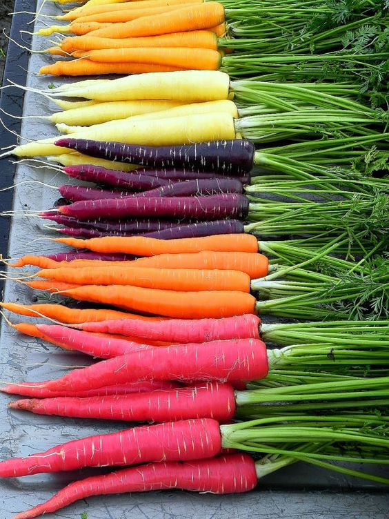 Rainbow carrots for Vegetable Beef Soup recipe | Girlfriend is Better