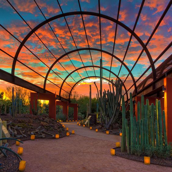 Scottsdale Arizona sunset | Travel guide | Girlfriend is Better