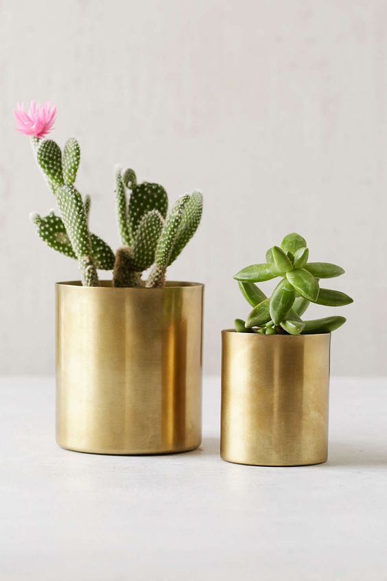 Gold planters and pots for succulents | Girlfriend is Better