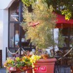 Little Italy San Diego travel and restaurant guide | Girlfriend is Better