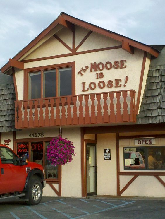 The Moose is Loose coffee shop in Soldotna Alaska | Girlfriend is Better