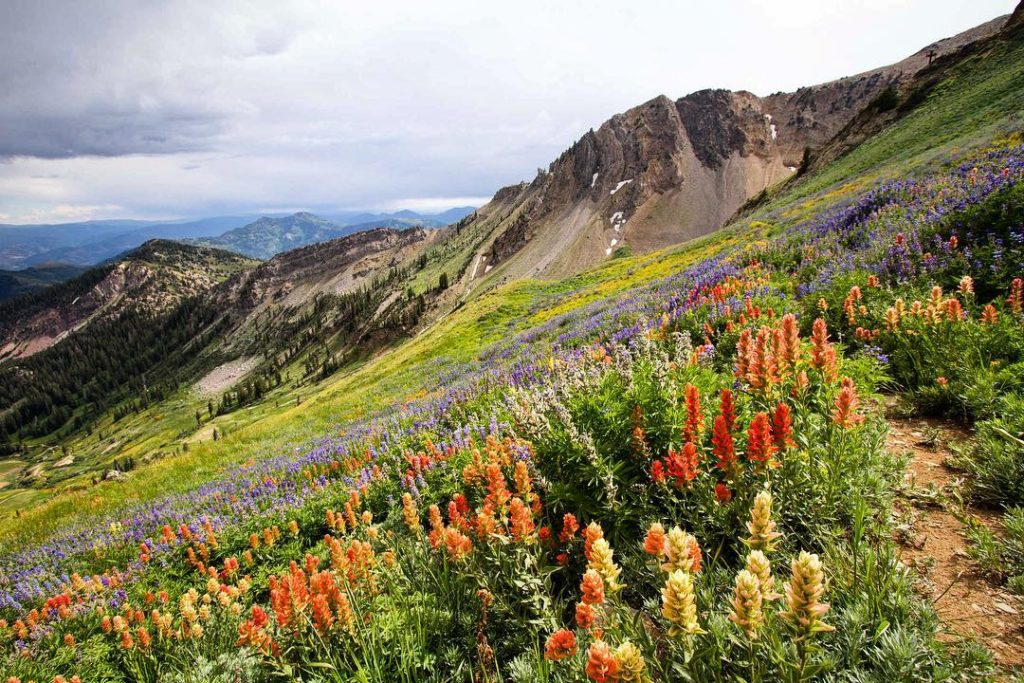 Fall foliage scenic drive to Oktoberfest Snowbird Utah | Girlfriend is Better