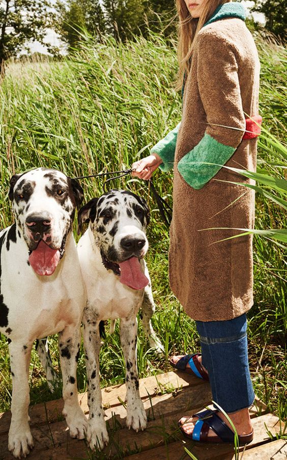 Fall coats in sherpa with block print | Girlfriend is Better