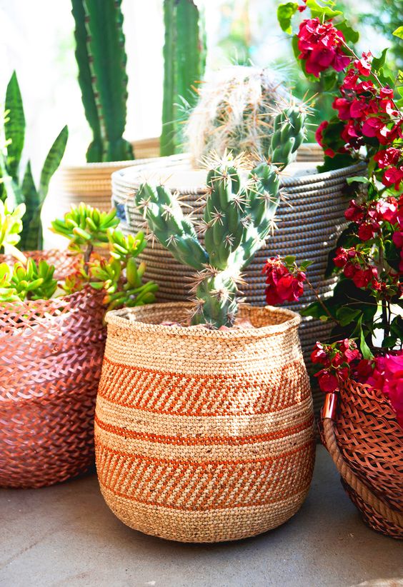 Sagittarius astrology home decor | Outdoor cactus ethnic basket | Girlfriend is Better