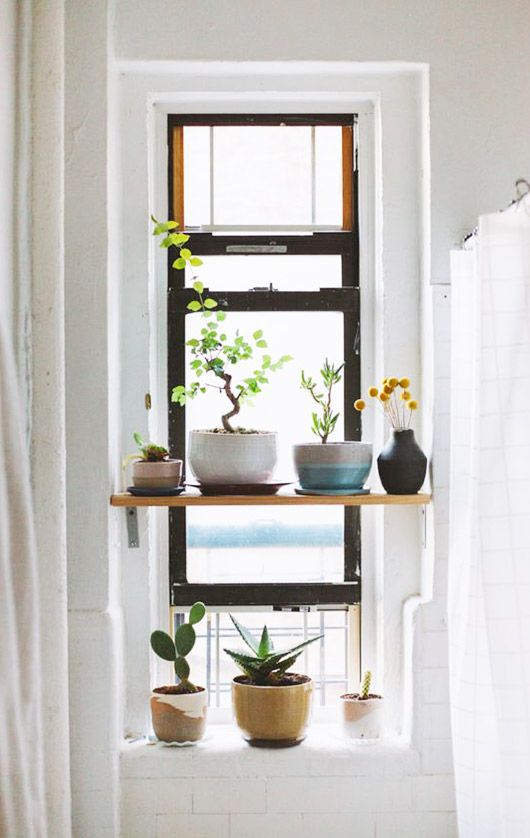 Plants in ceramic pots on open shelving by window | Aquarius astrology home decor guide | Girlfriend is Better