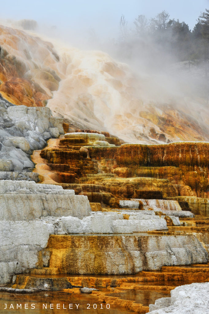 Yellowstone National Park day trip travel guide | Mammoth Hot Springs | Girlfriend is Better