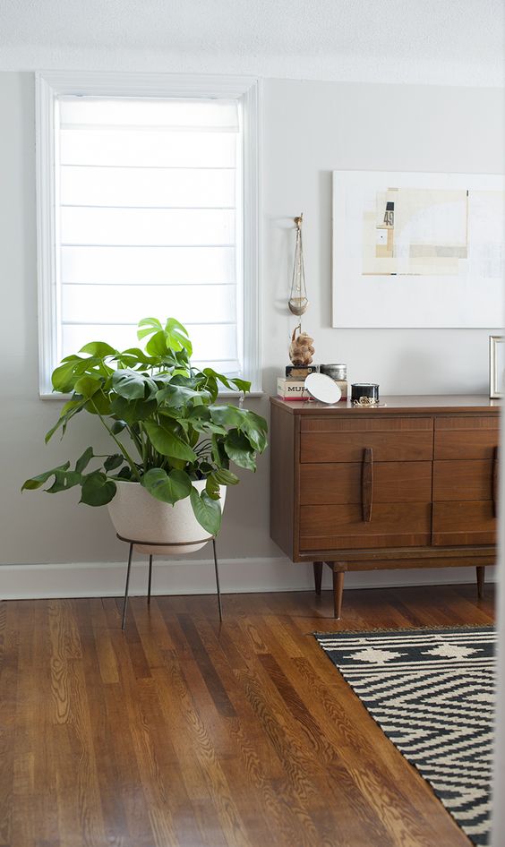 sideboard styling mid-century modern | dresser plants monstera deliciosa | Girlfriend is Better