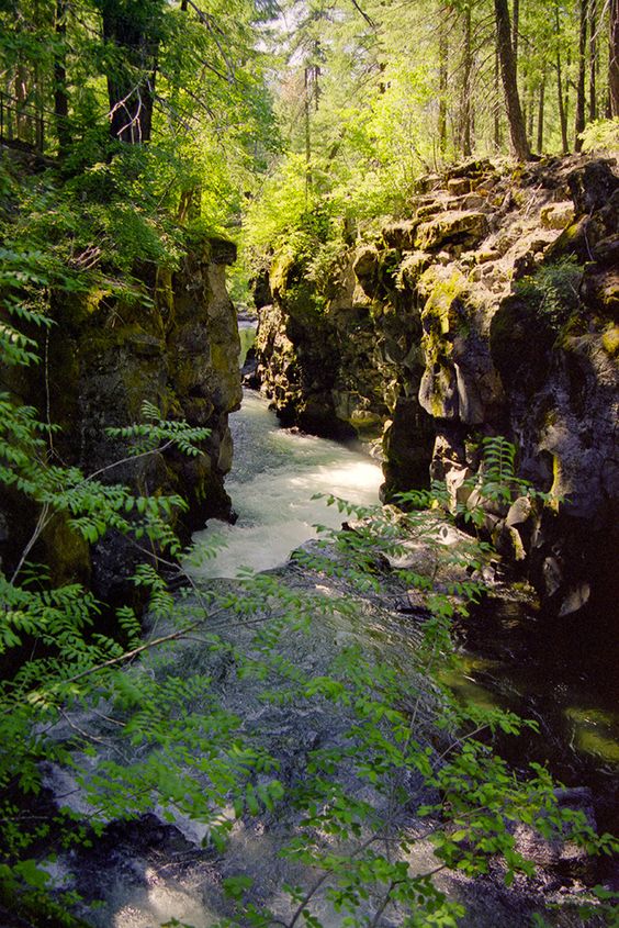 Union Creek Campground | Rogue River Oregon | Girlfriend is Better