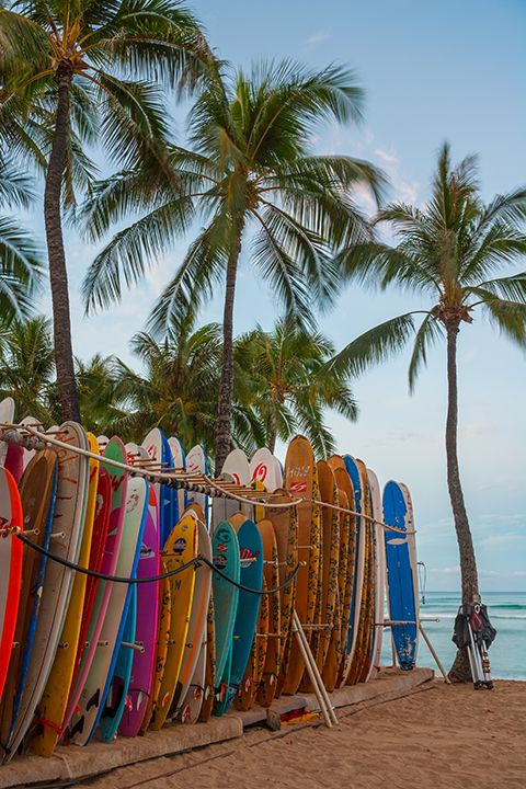 Oahu Hawaii surfboards beach | Girlfriend is Better