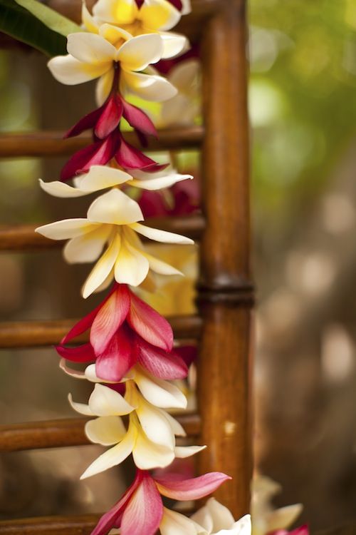 Oahu Hawaii flower lei | travel tips | Girlfriend is Better