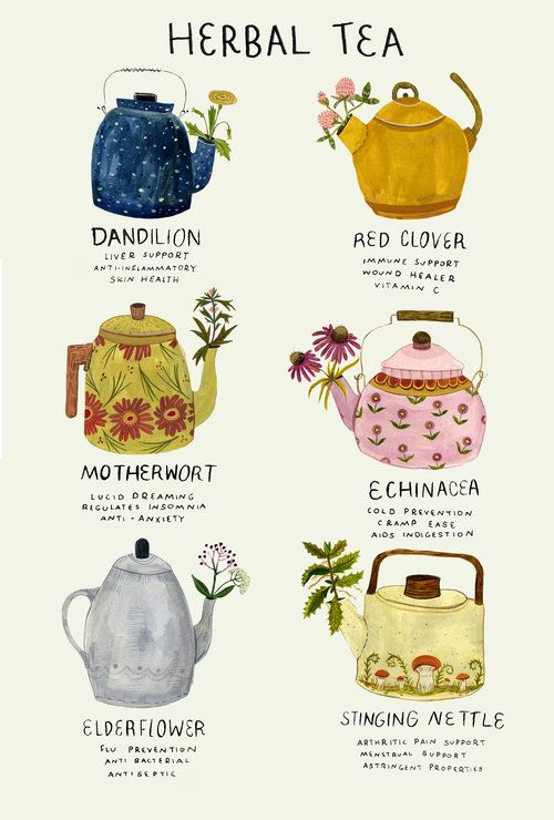 Afternoon Tea | Herbal Tea Types | Girlfriend is Better