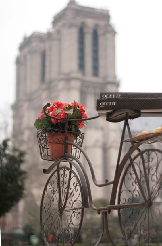 Paris Ground Zero | bike flowers Notre Dame cathedral | Girlfriend is Better