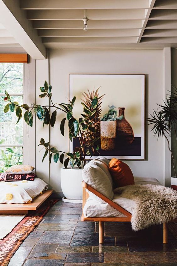 rubber plant | Bohemian tropical decor wood element | Girlfriend is Better