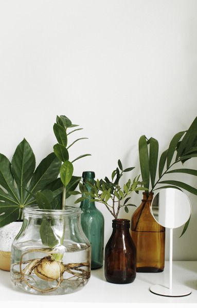 winter Hygge | plants amber glass vintage bottles | Girlfriend is Better