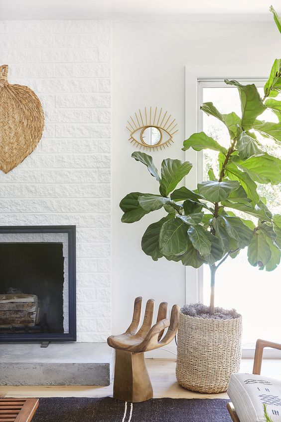 fiddle leaf figs | tall low maintenance plants Bohemian decor basket planter | Girlfriend is Better