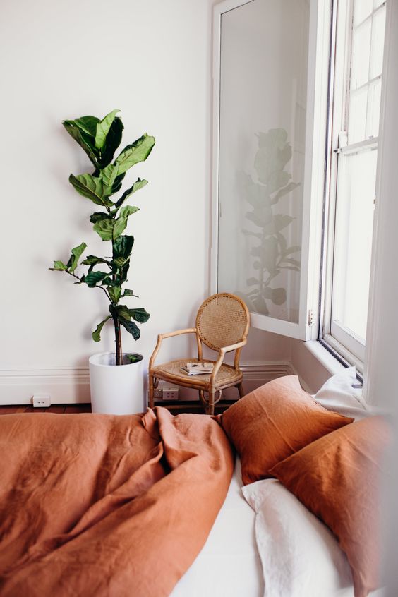 fiddle leaf figs | French country caned chair bedroom linen bedding minimalism | Girlfriend is Better