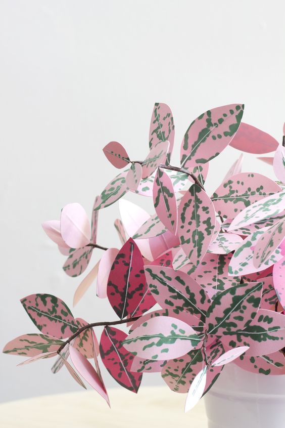 pink plants | paper fittonia leaves diy handcrafted crafts | Girlfriend is Better