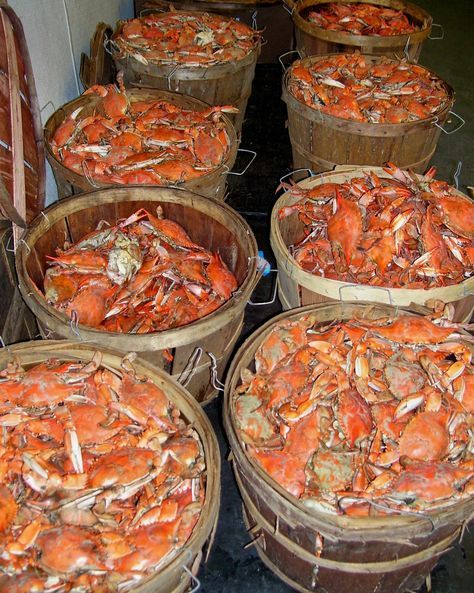 Port Townsend Washington | crab fishing travel guide | Girlfriend is Better