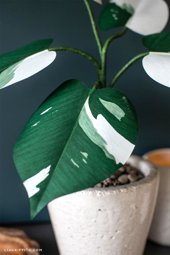 patterned foliage | Paper White Knight Philodendron DIY plant craft | Girlfriend is Better