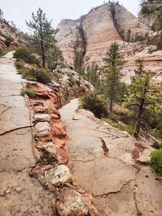 Zion National Park backpacking | Girlfriend is Better | moderate-level hiking well-maintained trails