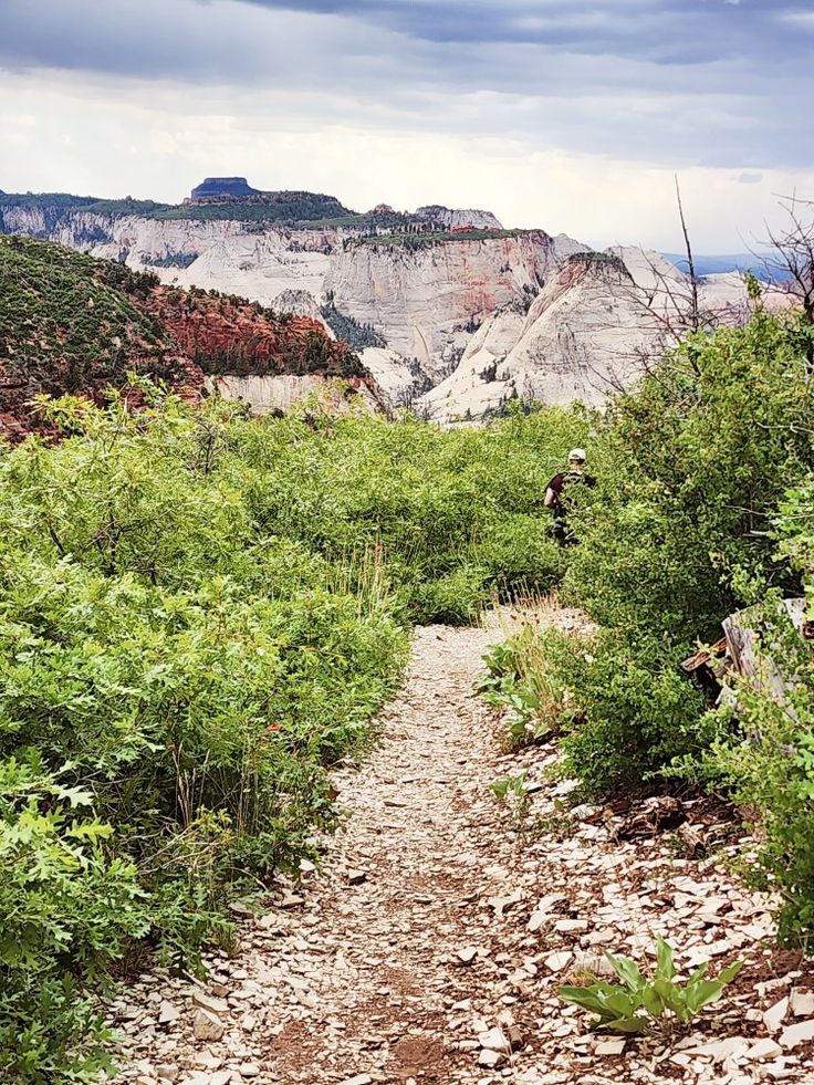 Zion National Park backpacking | Girlfriend is Better | photography scenic views hiking trail