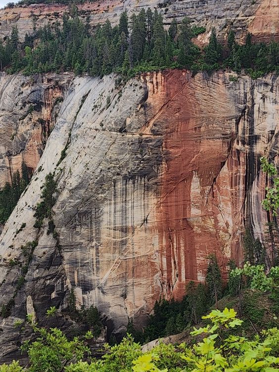 Zion National Park backpacking | Girlfriend is Better | packing tips camping scenic views hard-level trail